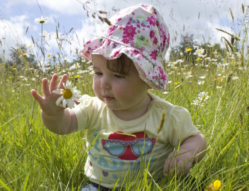 The role of the occupational therapist for an autistic child